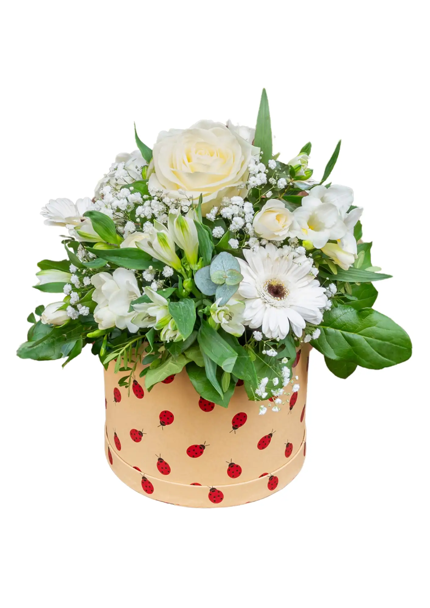 Whitehatbox best sale